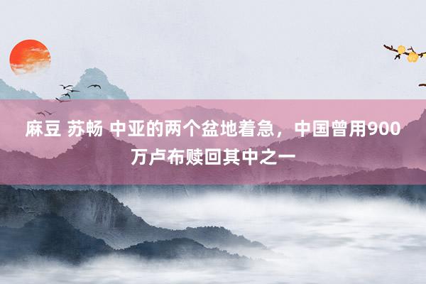 麻豆 苏畅 中亚的两个盆地着急，中国曾用900万卢布赎回其中之一